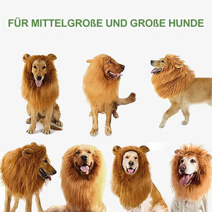 Löwenmähne Perücke für Hunde