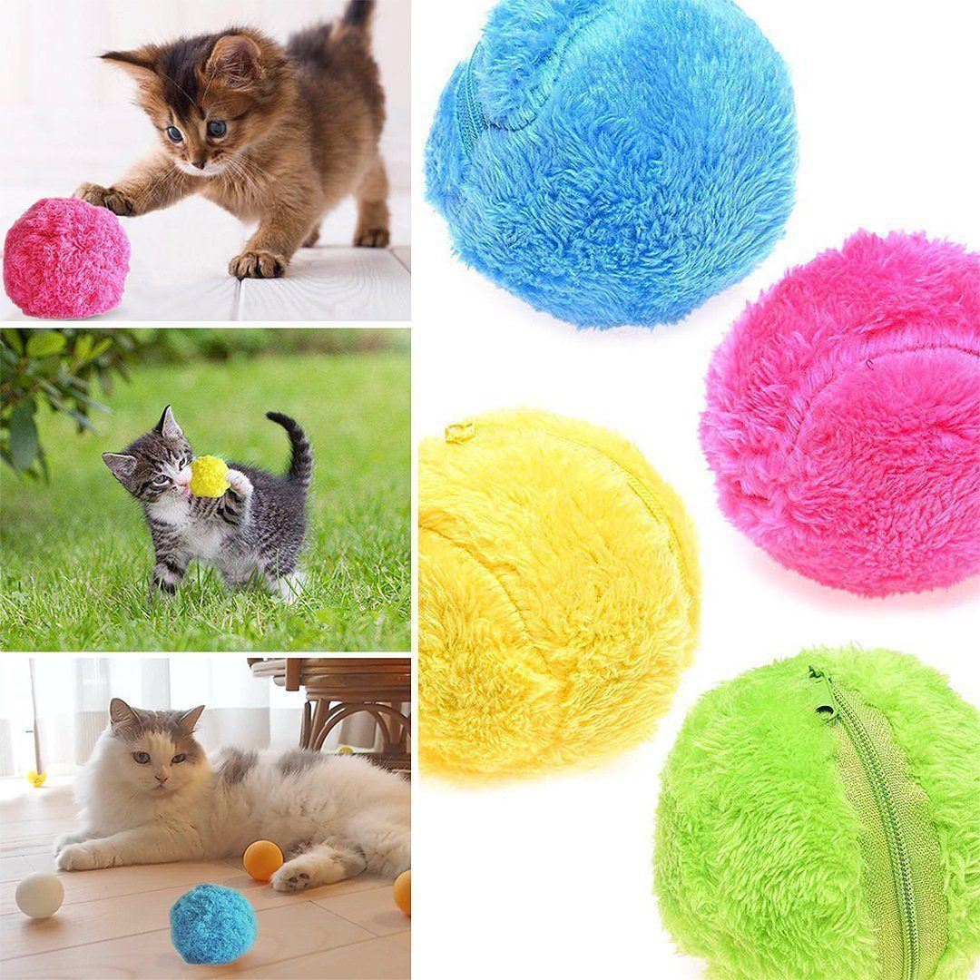 magischer Ball für Haustiere