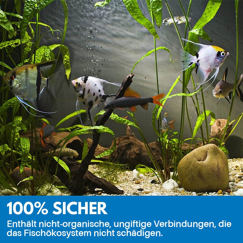 Reinigungspulver Für Aquarium