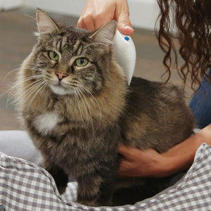 Elektrischer Bürste Kamm für Haustiere, Entfernung von Kopfläusen