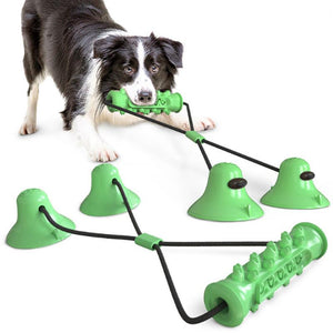 Interessante Beißstock Hundespielzeuge