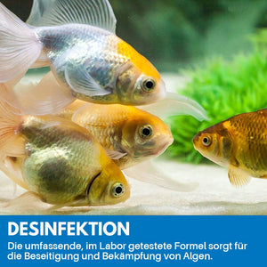 Reinigungspulver Für Aquarium