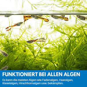 Reinigungspulver Für Aquarium