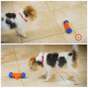 Bewegliches automatisches Hunde Spielzeug